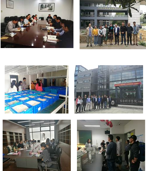 微信截图_20220713150615.png