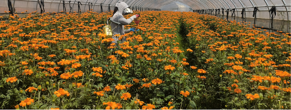 4444444(1).png